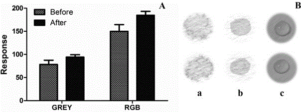 Multilayer sensor used for detecting tea polyphenol, and production method and application of sensor