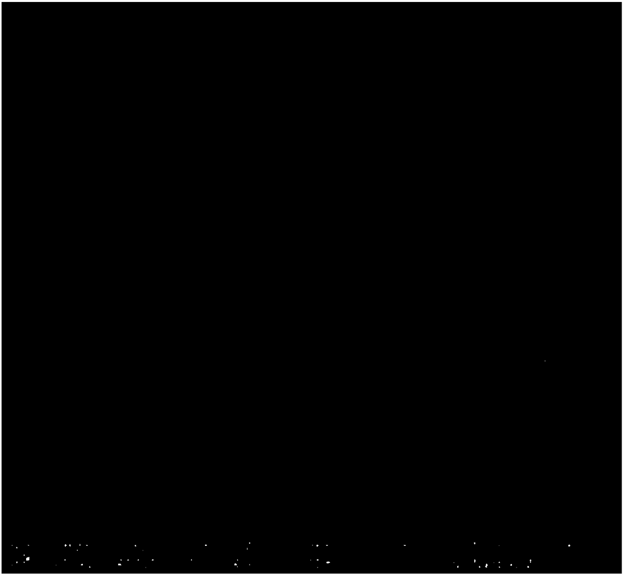 Dura mater biopatch and preparation method thereof