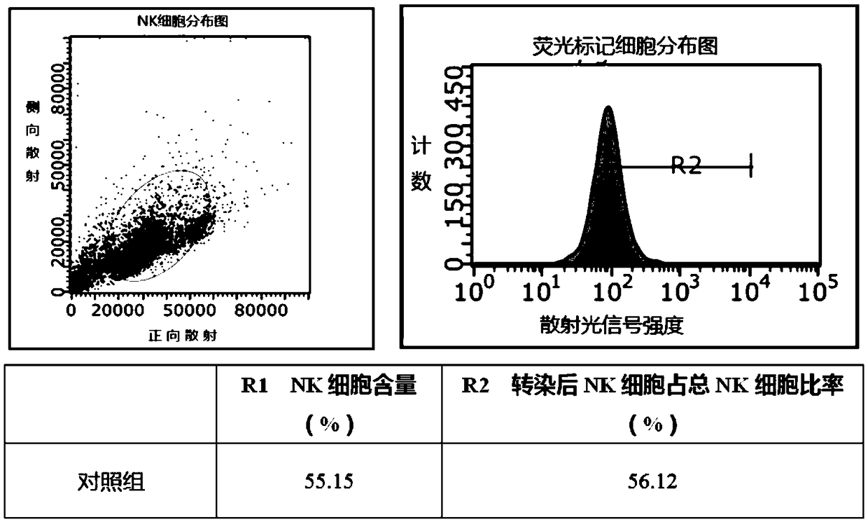 NK cell transfection efficiency improving method