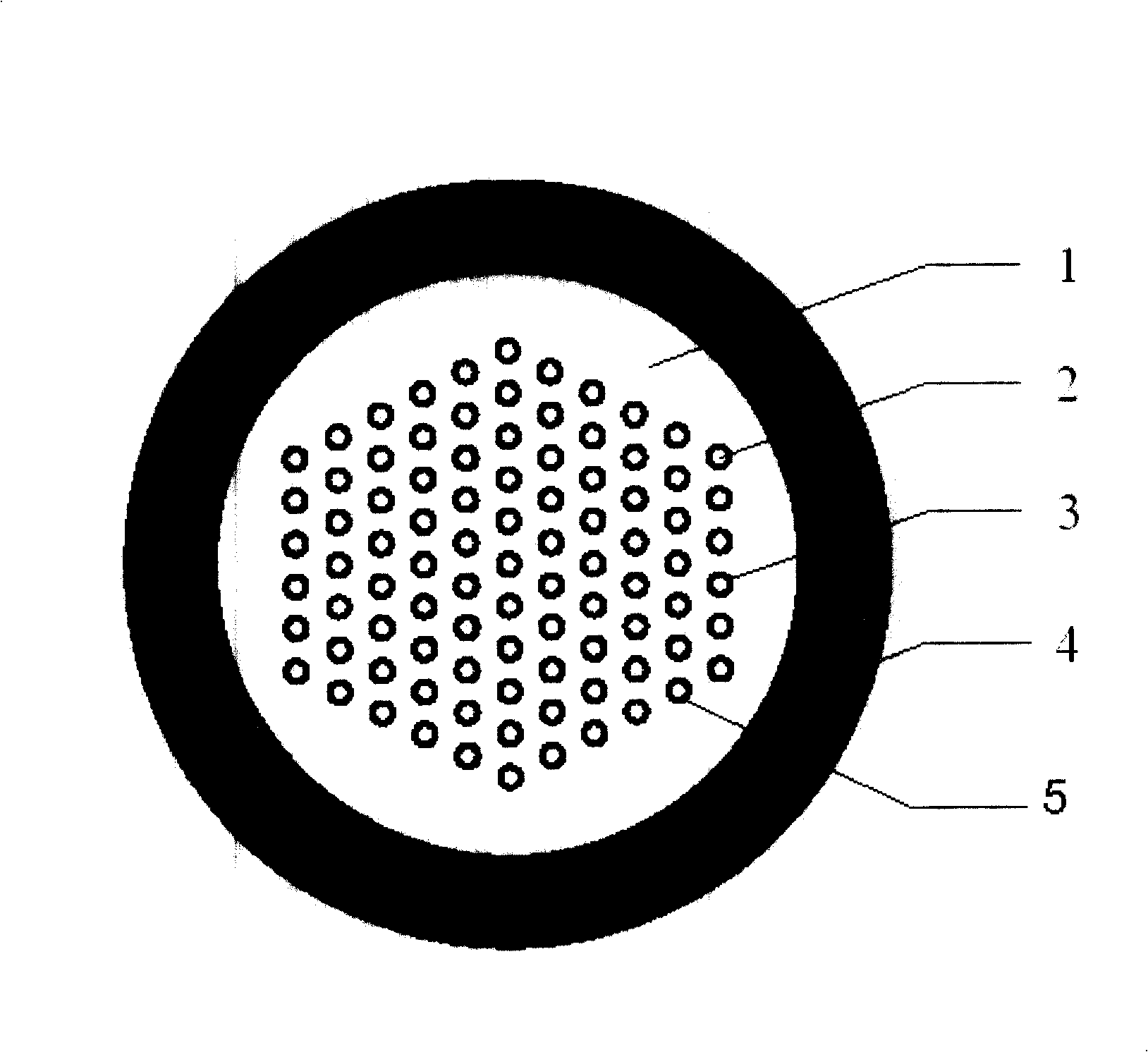 Electron-photon double-transmission micro-structure polymer optical fiber