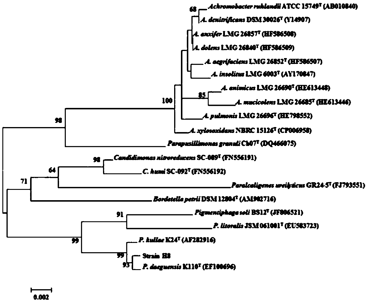 Halogenated benzoic acid degradation strain, inoculant produced by strain and application