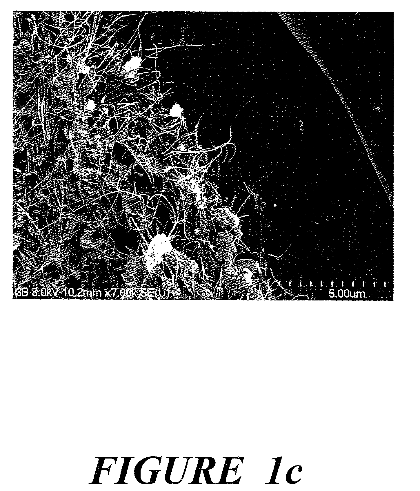 Halogen containing-polymer nanocomposite compositions, methods, and products employing such compositions