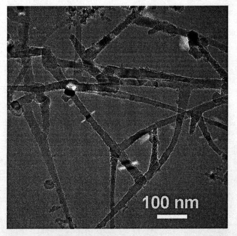 Method for preparing nano-structure of magnesium