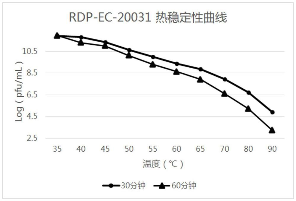 A Thermostable Escherichia coli Phage rdp-ec-20031 and Its Application