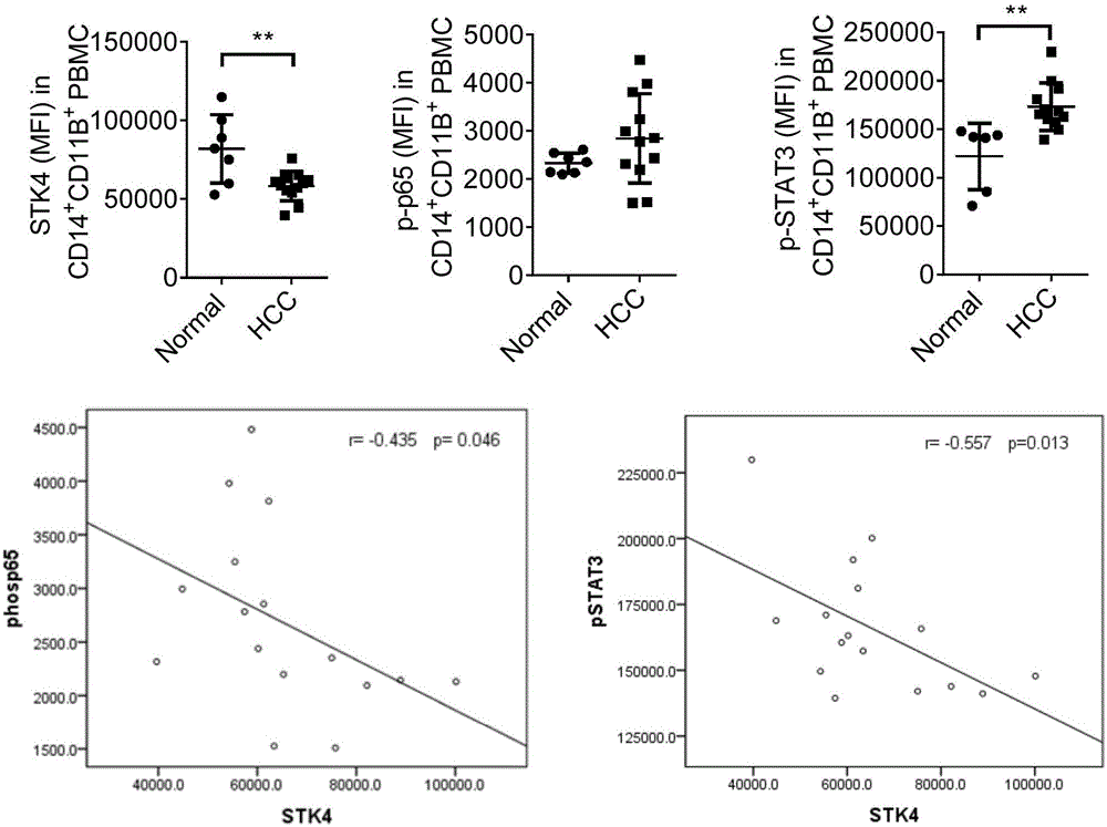 Marker for diagnosis of inflammation-associated HCC and application thereof