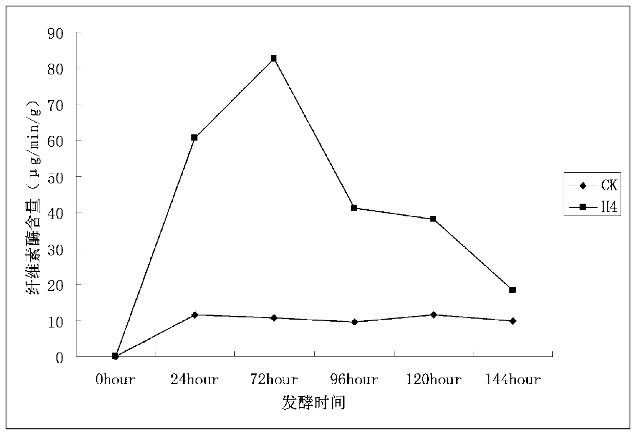 Screening method of composite microbial inoculum through low-temperature straw composting and application