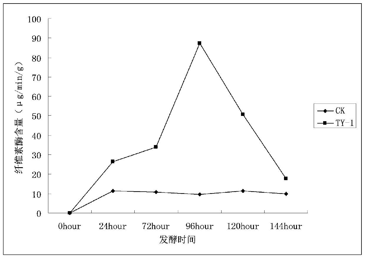 Screening method of composite microbial inoculum through low-temperature straw composting and application