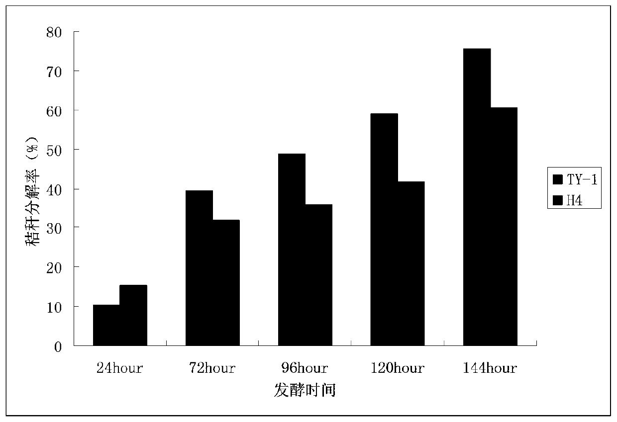 Screening method of composite microbial inoculum through low-temperature straw composting and application