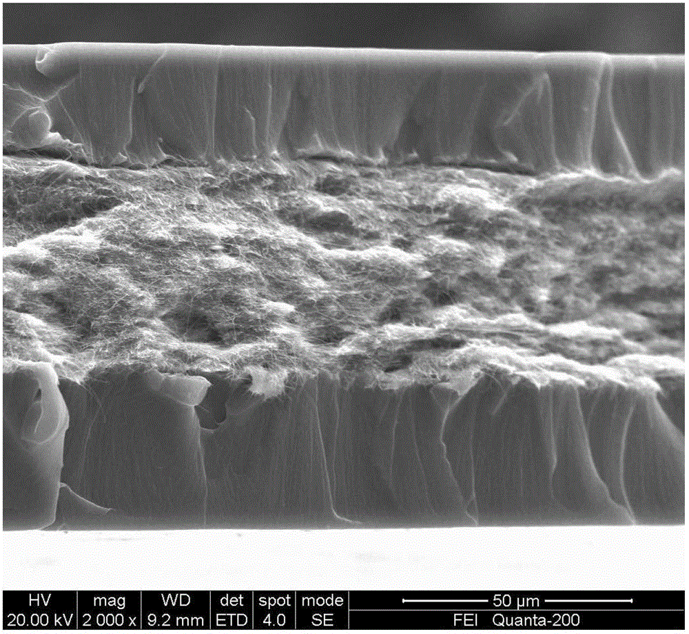 Chrysotile nanofiber and resin composite transparent film, and preparation method and application thereof