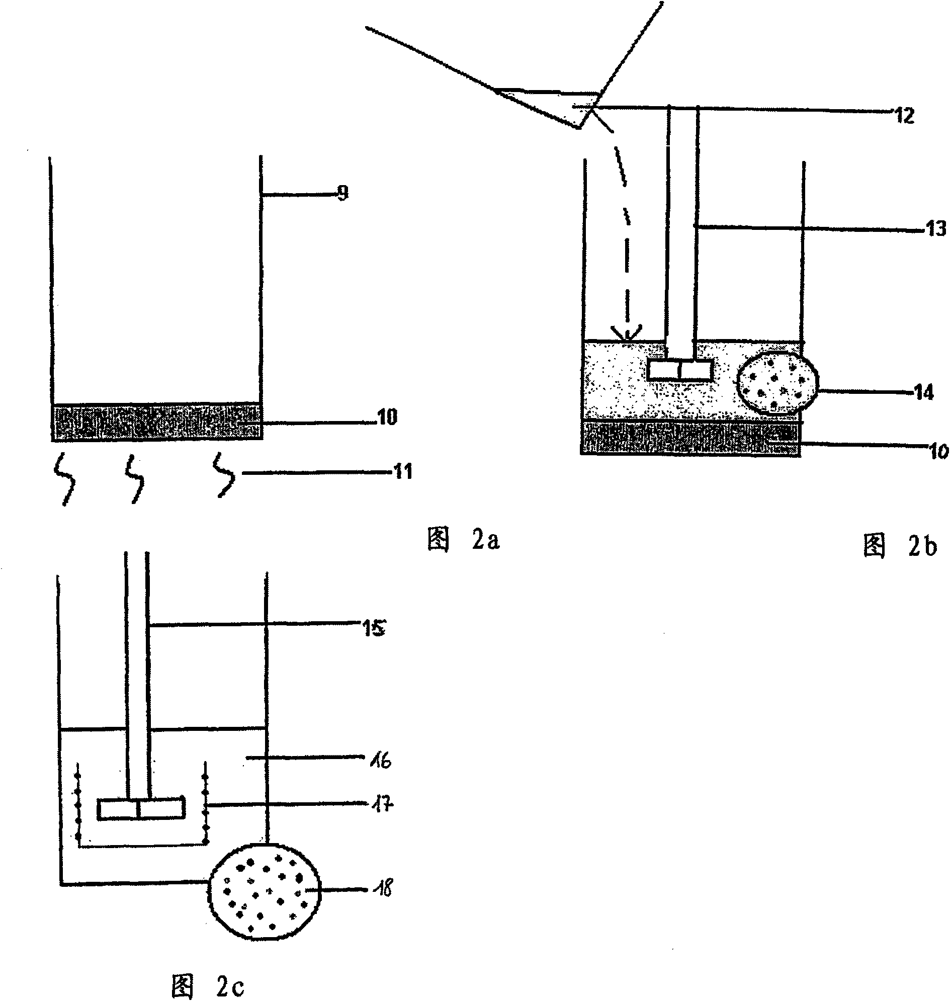 Fish food capsule