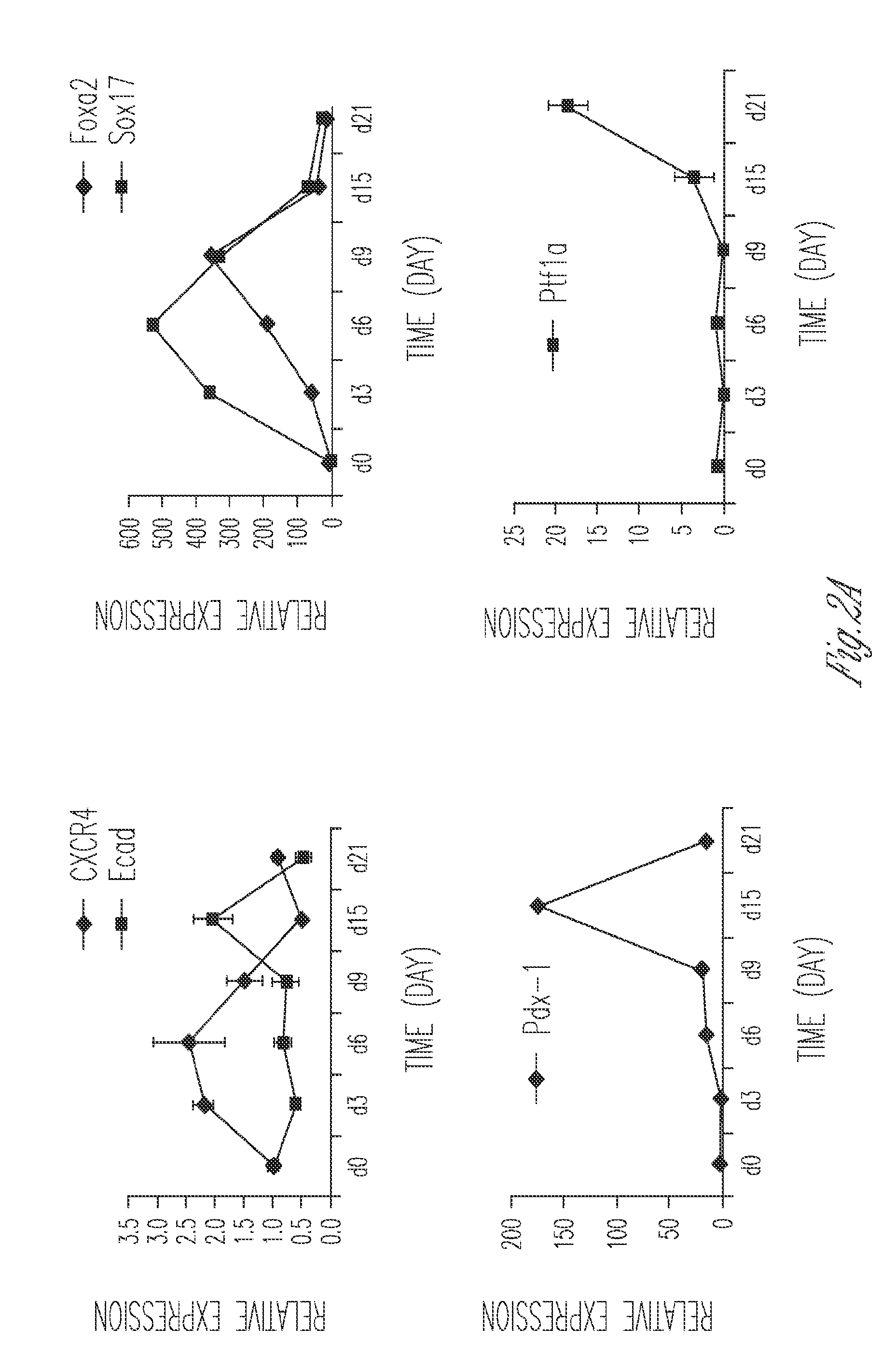 Production of insulin producing cells