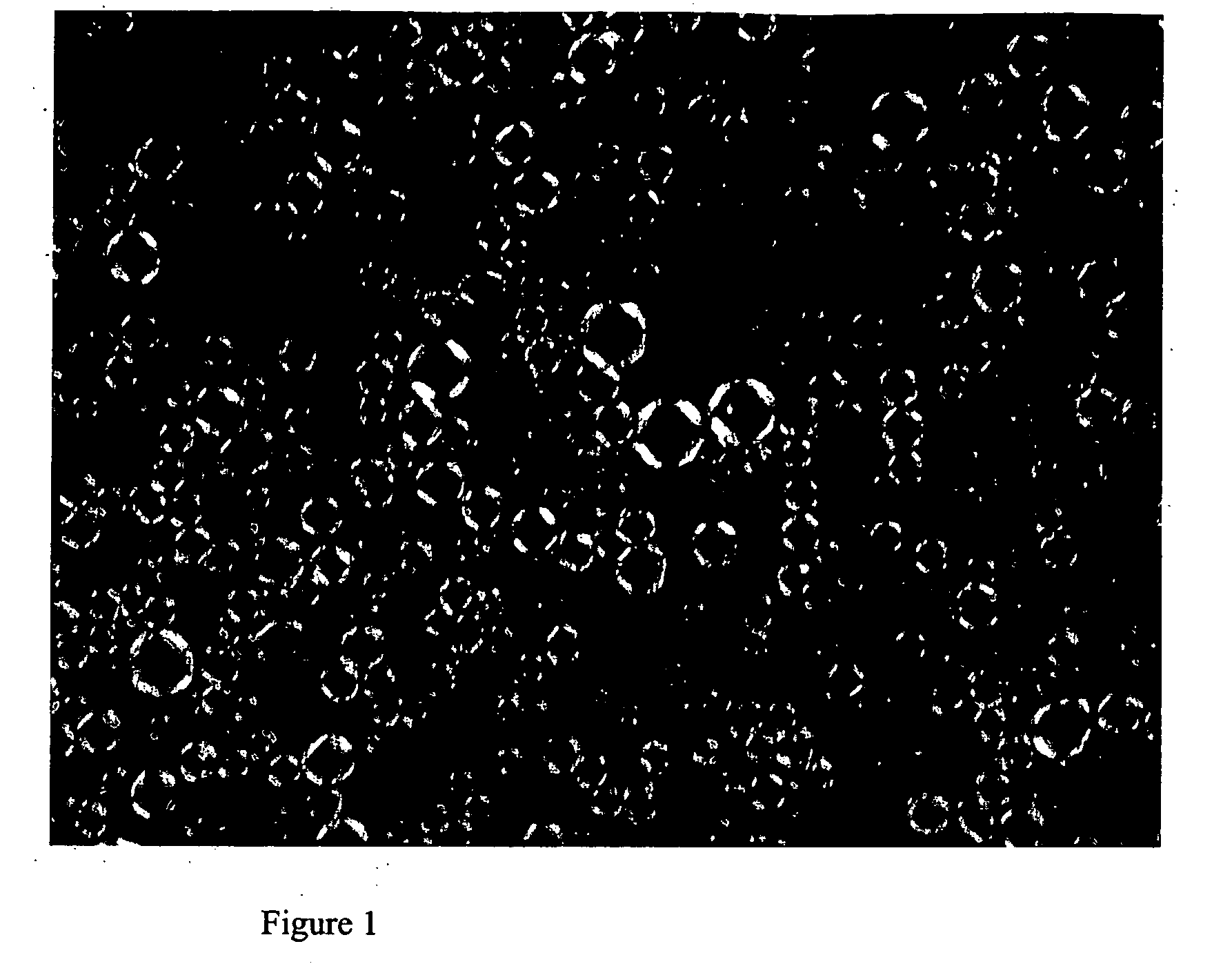 Multi-lamellar liquid crystal emulsion system