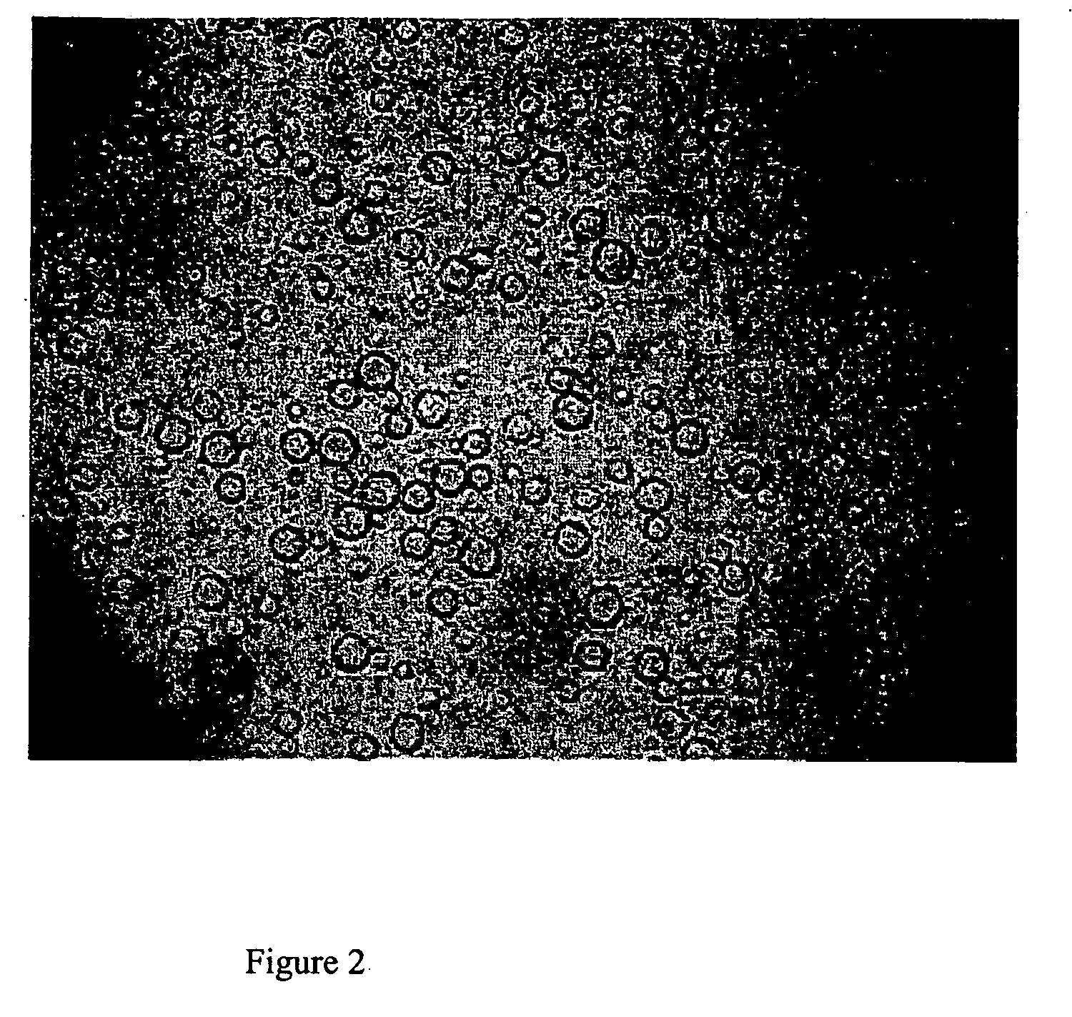 Multi-lamellar liquid crystal emulsion system