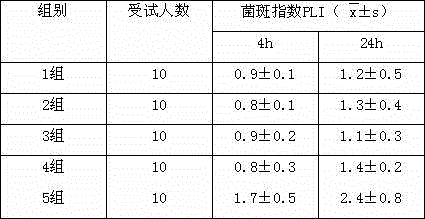 Functional oral care composition and application thereof