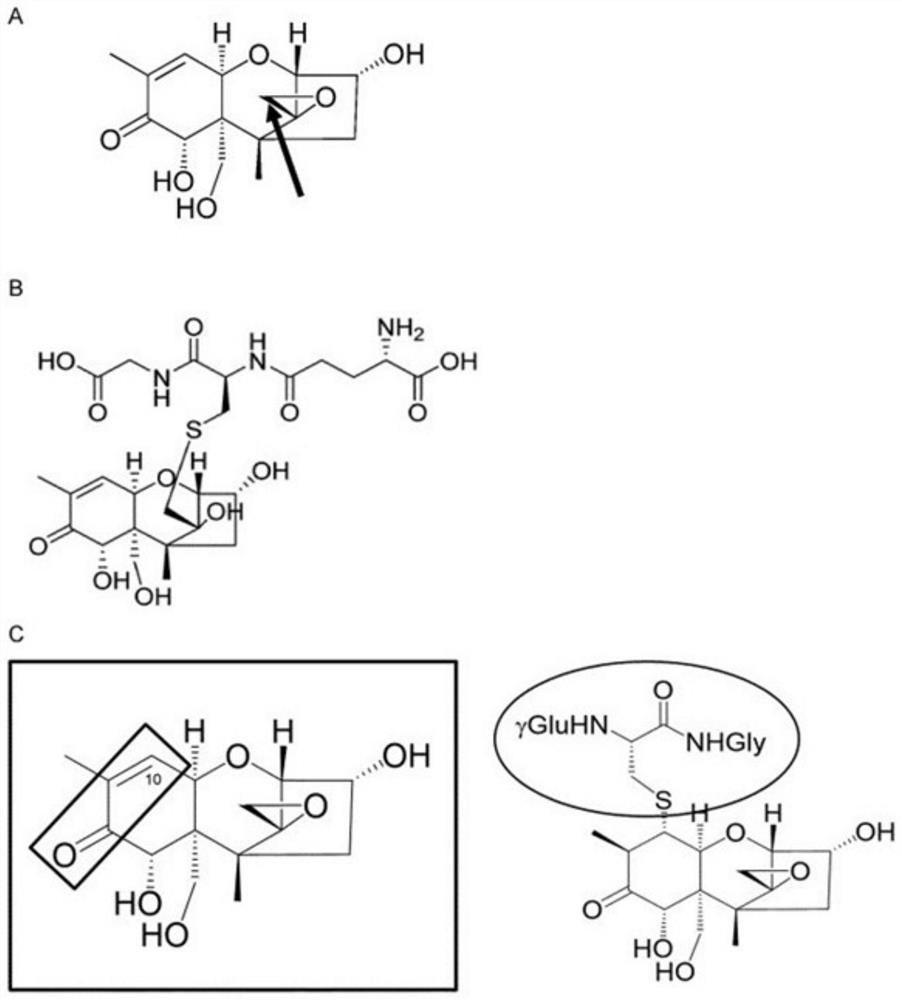 Method for biotransformation of trichothecene