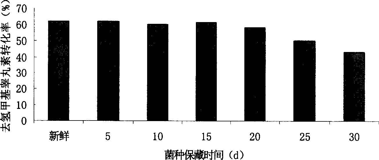 Preparation technique for producing mayandrosteron through microbial conversion method