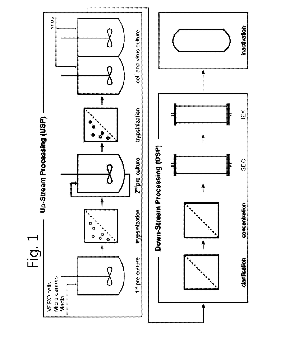 Methods for the prevention of aggregation of viral components