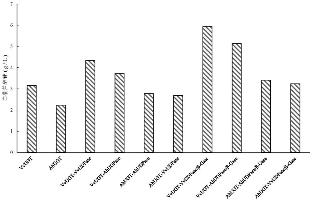 Construction and application of engineering strain for biosynthesizing resveratrol glucoside by taking resveratrol as substrate