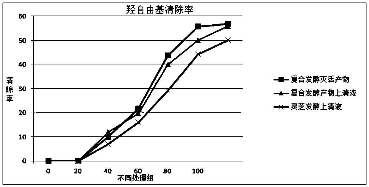 Lucid ganoderma-probiotic composite fermentation product, and preparation method and application thereof