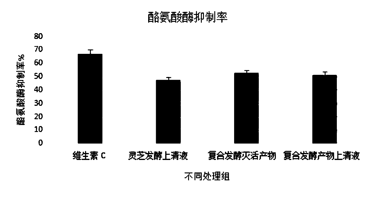 Lucid ganoderma-probiotic composite fermentation product, and preparation method and application thereof