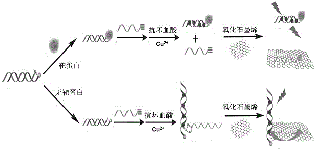 Fluorescent biosensing method used for detecting low molecular ligand target protein and based on combination of inhibition of click chemistry reaction