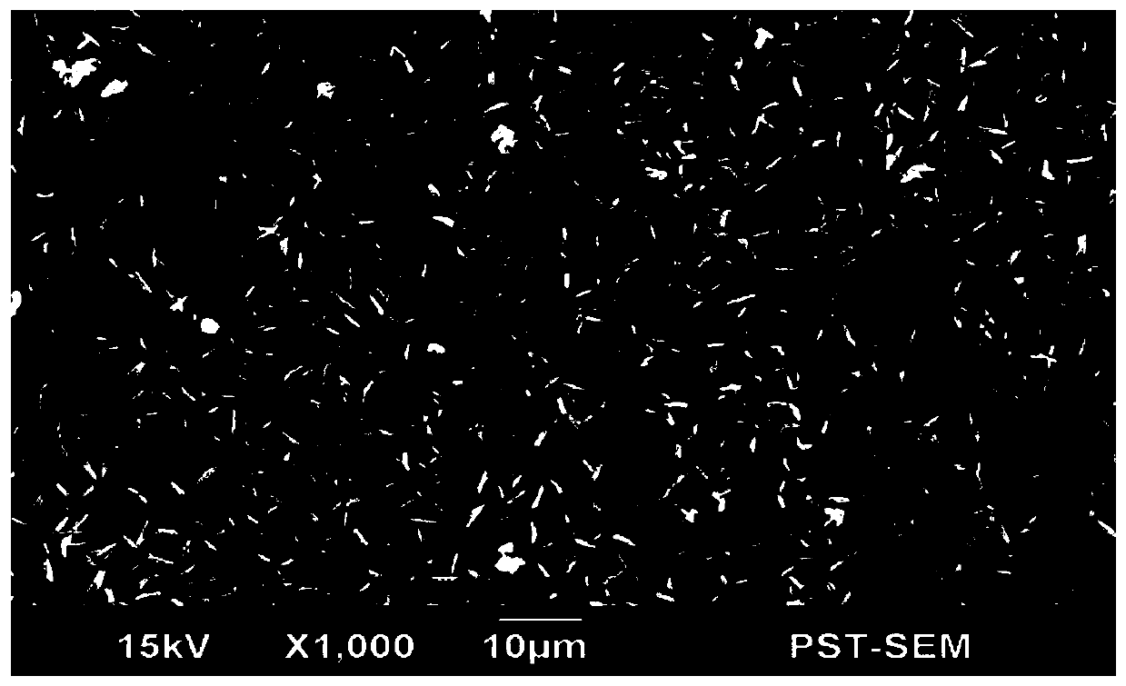 Liquid surface regulator capable of improving film-forming performance of phosphating film and preparation method thereof