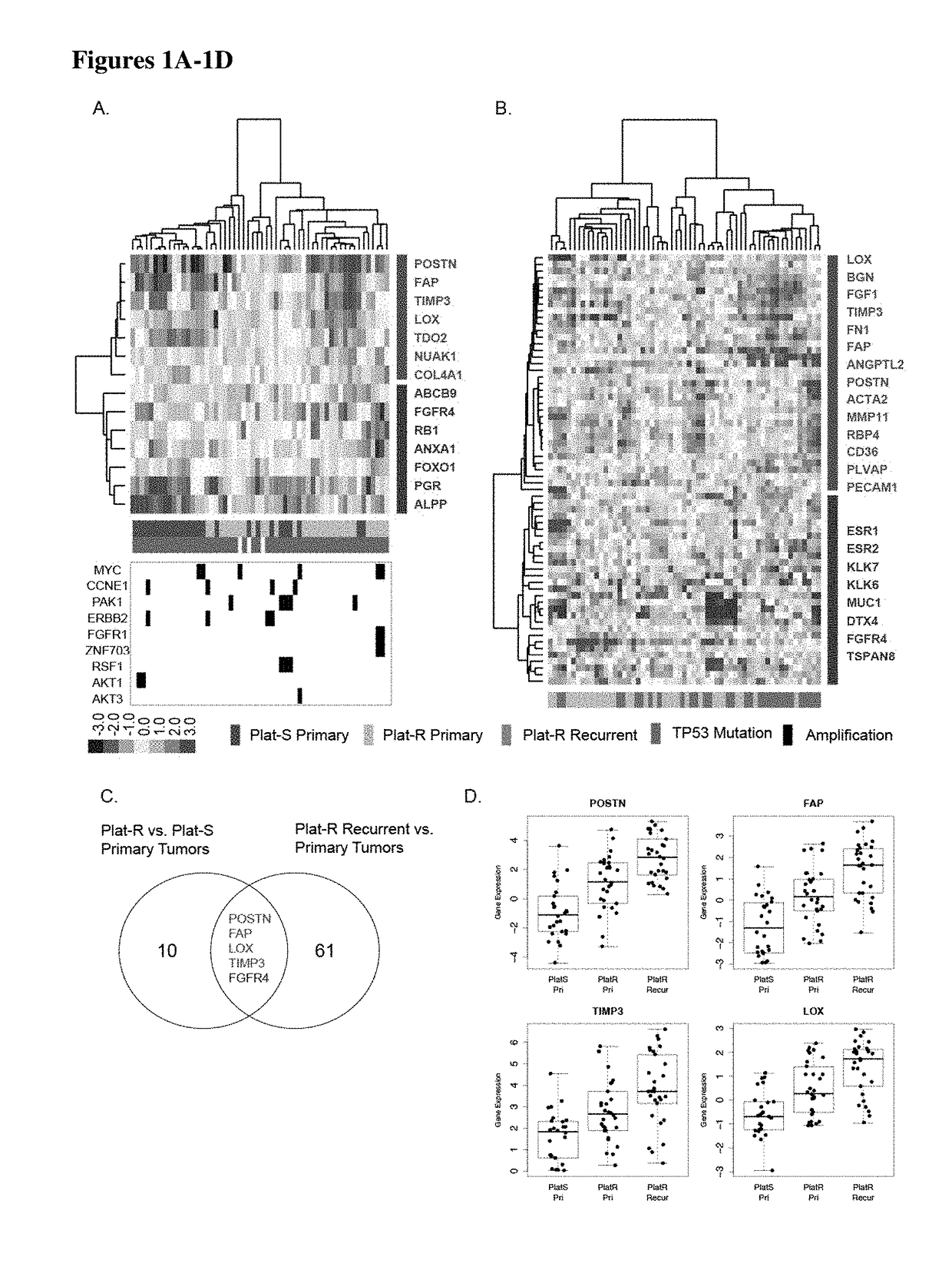 Compositions and methods for treating and diagnosing chemotherapy-resistant cancers