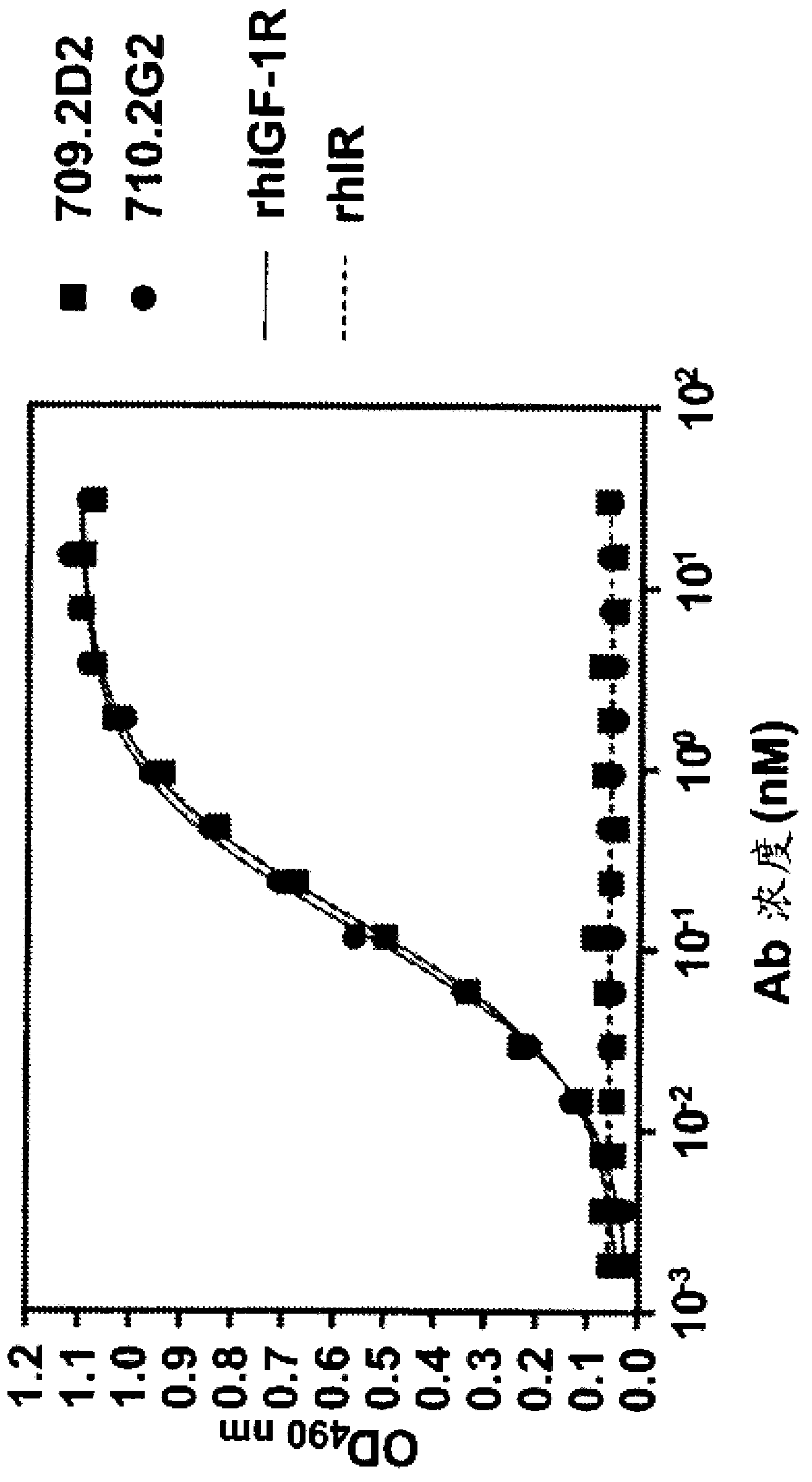 Novel class of monospecific and bispecific humanized antibodies that target the insulin-like growth factor type i receptor (IGF-1R)