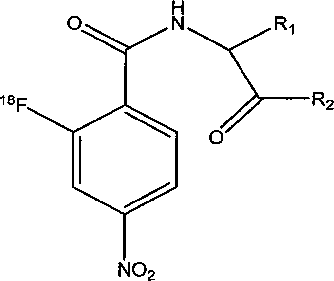 Novel 18F labeled p-nitro benzoyl amino acid derivatives, preparation method and application thereof in tumor imaging