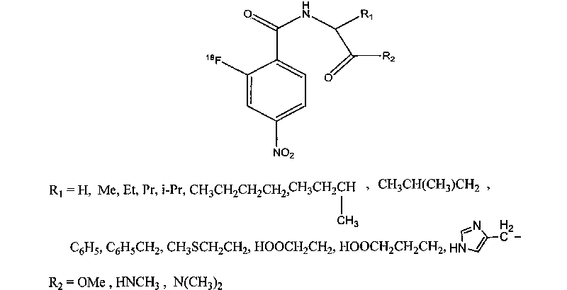 Novel 18F labeled p-nitro benzoyl amino acid derivatives, preparation method and application thereof in tumor imaging