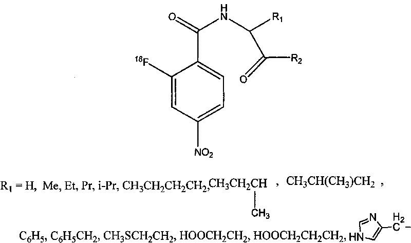 Novel 18F labeled p-nitro benzoyl amino acid derivatives, preparation method and application thereof in tumor imaging