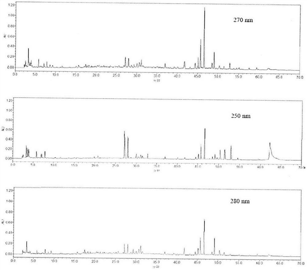 Method for detecting fingerprint spectrum of Shengbai Koufuye