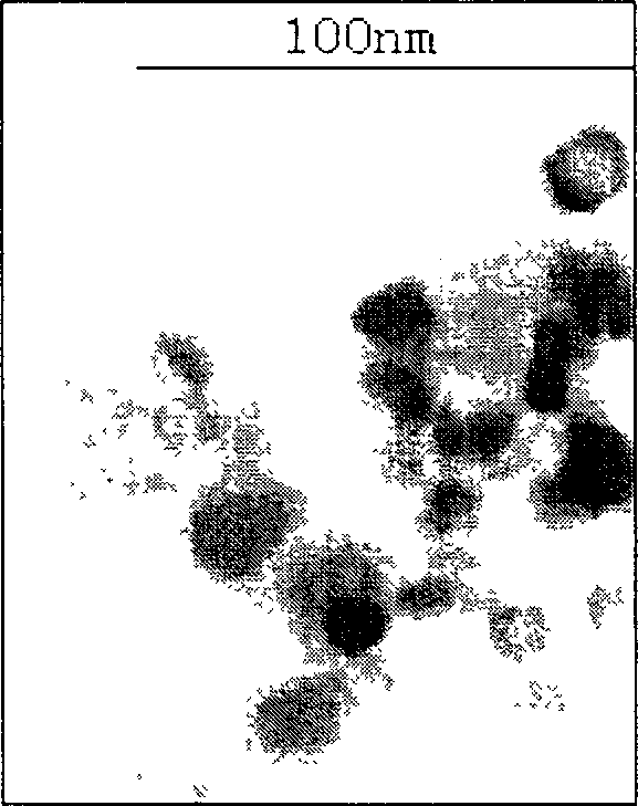 Method for preparing Nano granules of stannic oxide