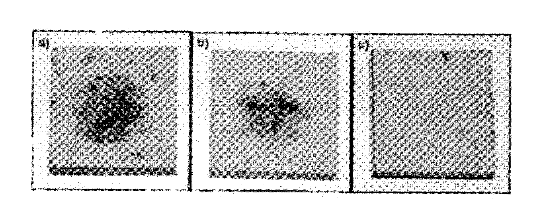 Functionalized fullerenes as antifungal agents