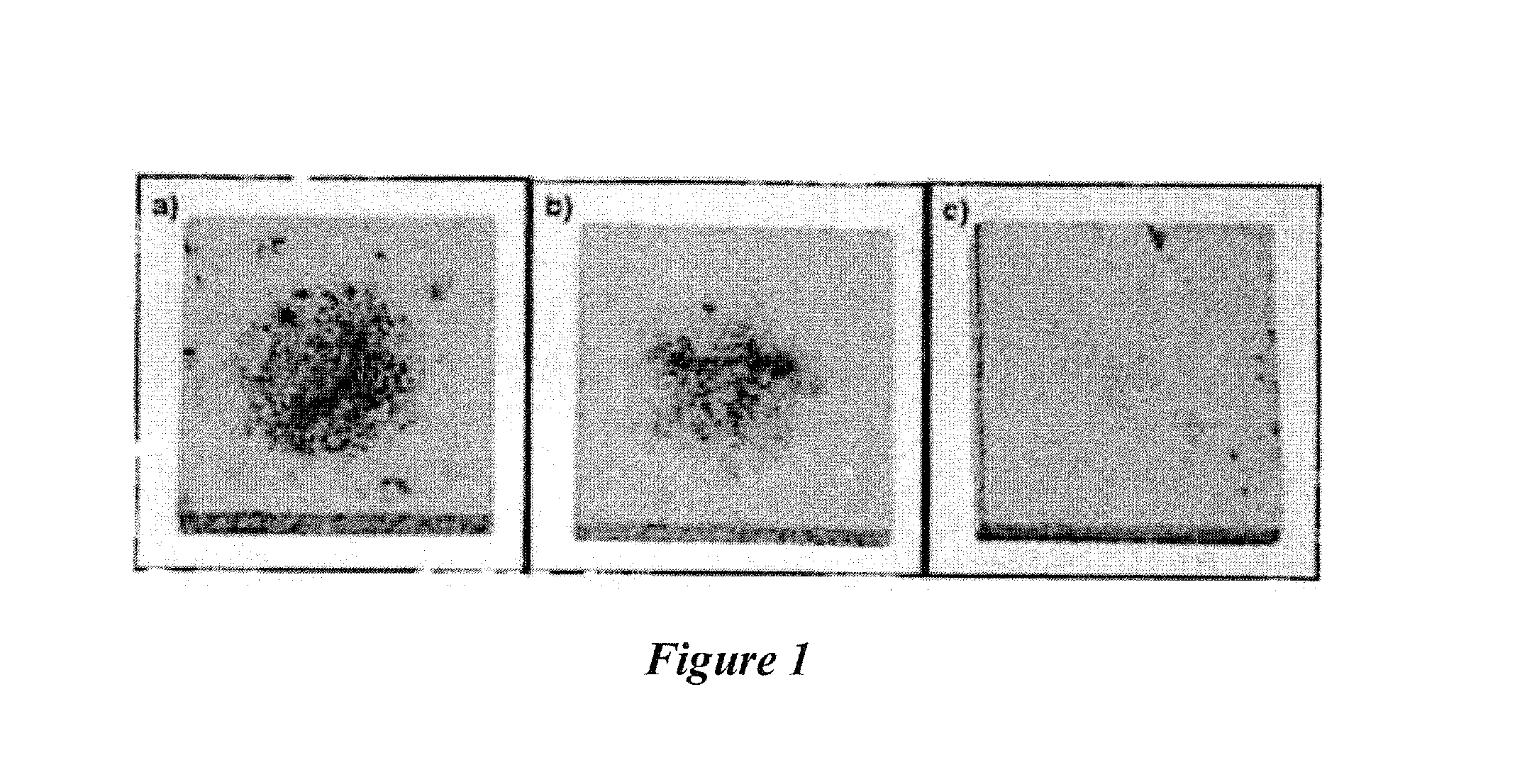 Functionalized fullerenes as antifungal agents