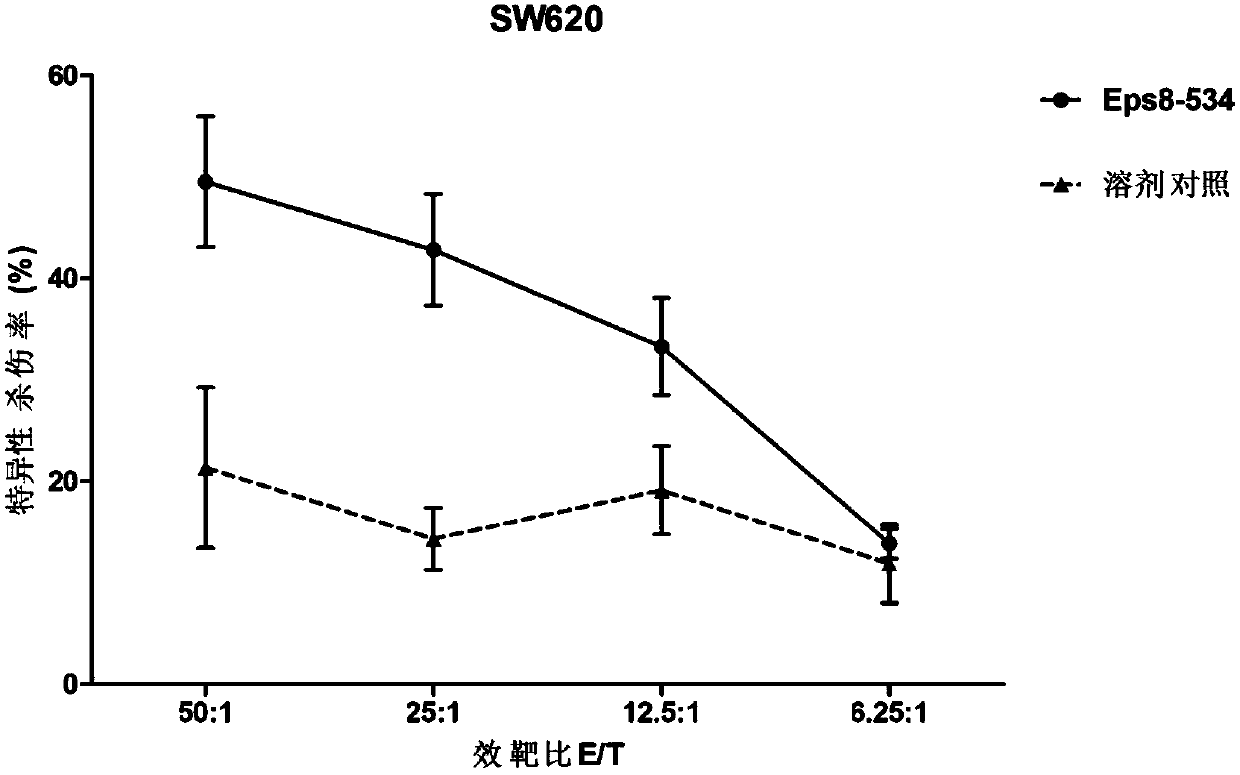 A dual antitumor polypeptide based on the EPS8-SH3 domain