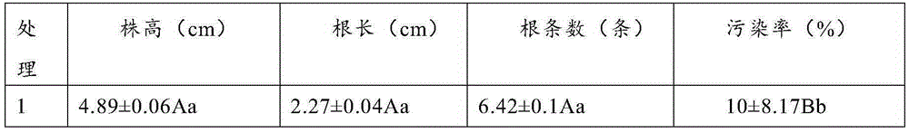 Antibacterial composition for open type plant tissue culture and preparation method thereof