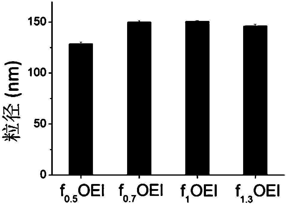 Nucleic acid delivery carrier, preparation method and application of nucleic acid delivery carrier