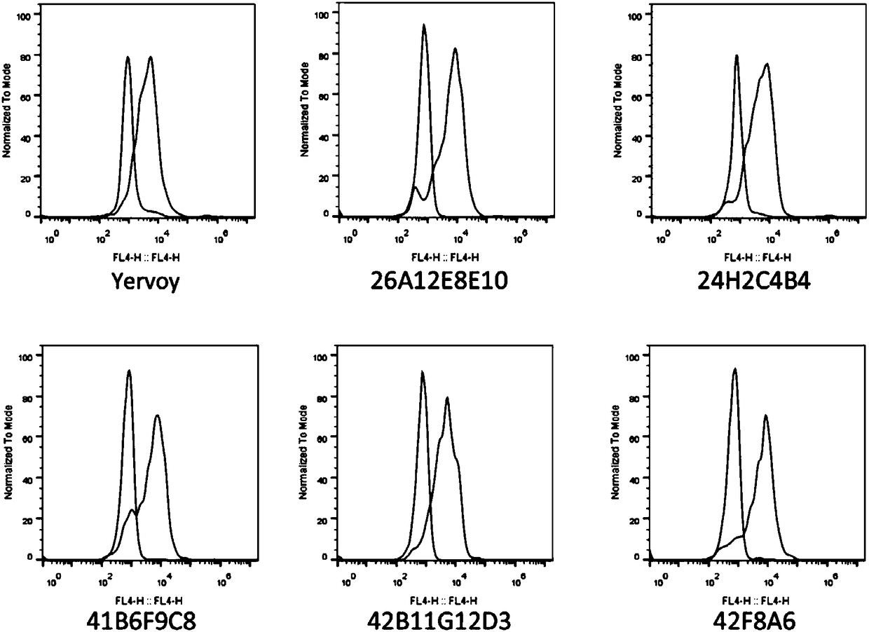 Higher-functionality antihuman CTLA4 antibody with high affinity and high specificity as well as multi-antigen recognition epitopes