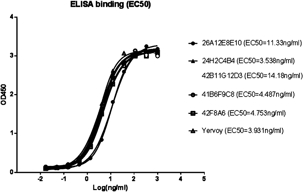 Higher-functionality antihuman CTLA4 antibody with high affinity and high specificity as well as multi-antigen recognition epitopes