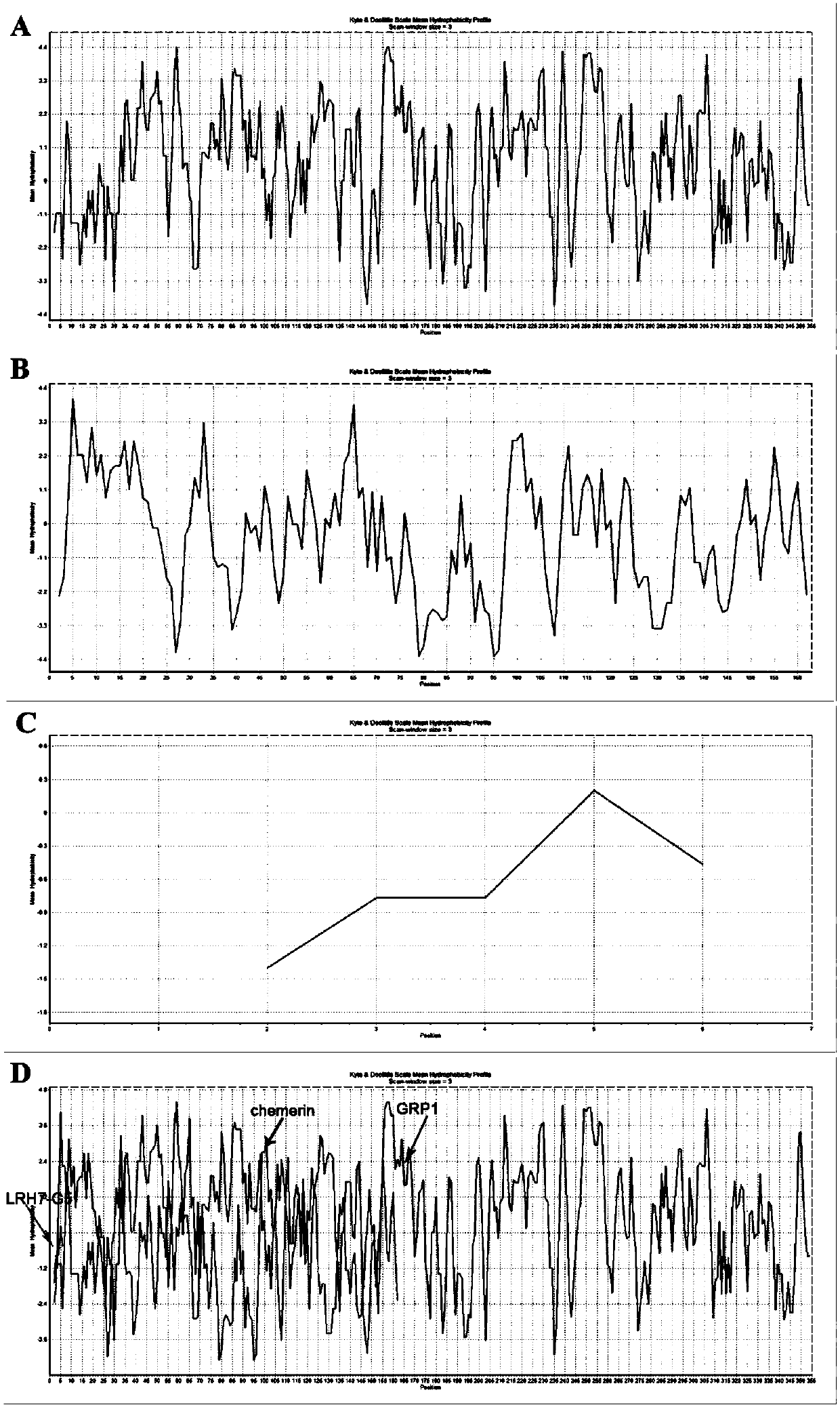 GPR1 antagonistic polypeptide and derivative and application thereof