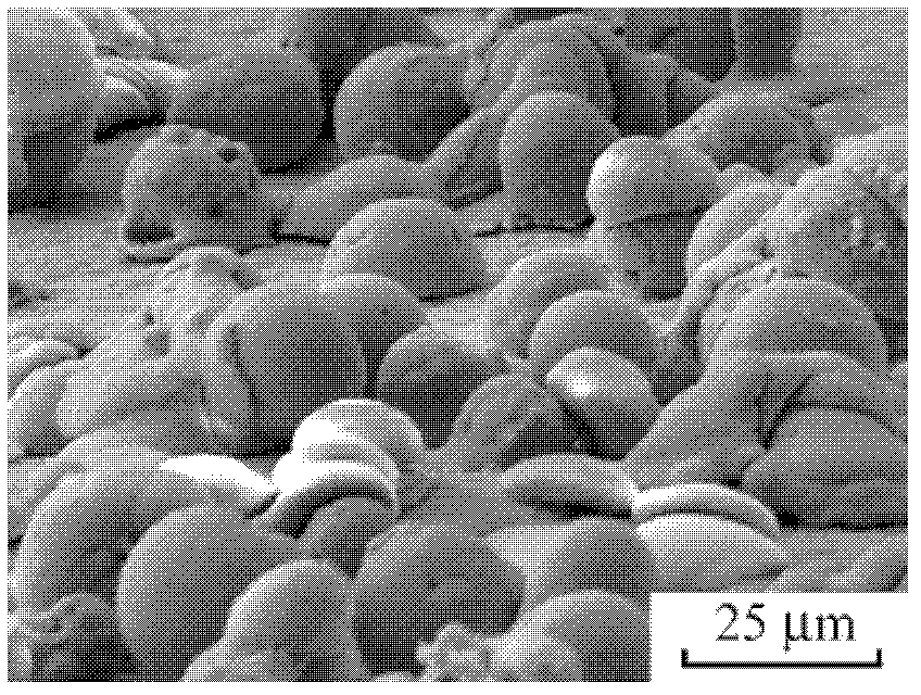 Preparation method of SOFC electrolyte surface micro-convex structure and product thereof