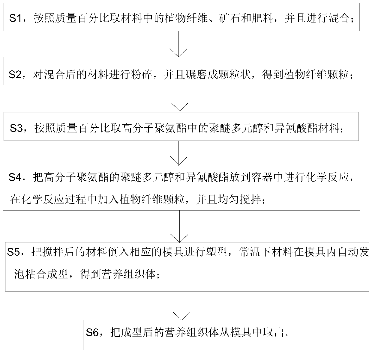 Vegetative structure body for plants and preparation method of vegetative structure body