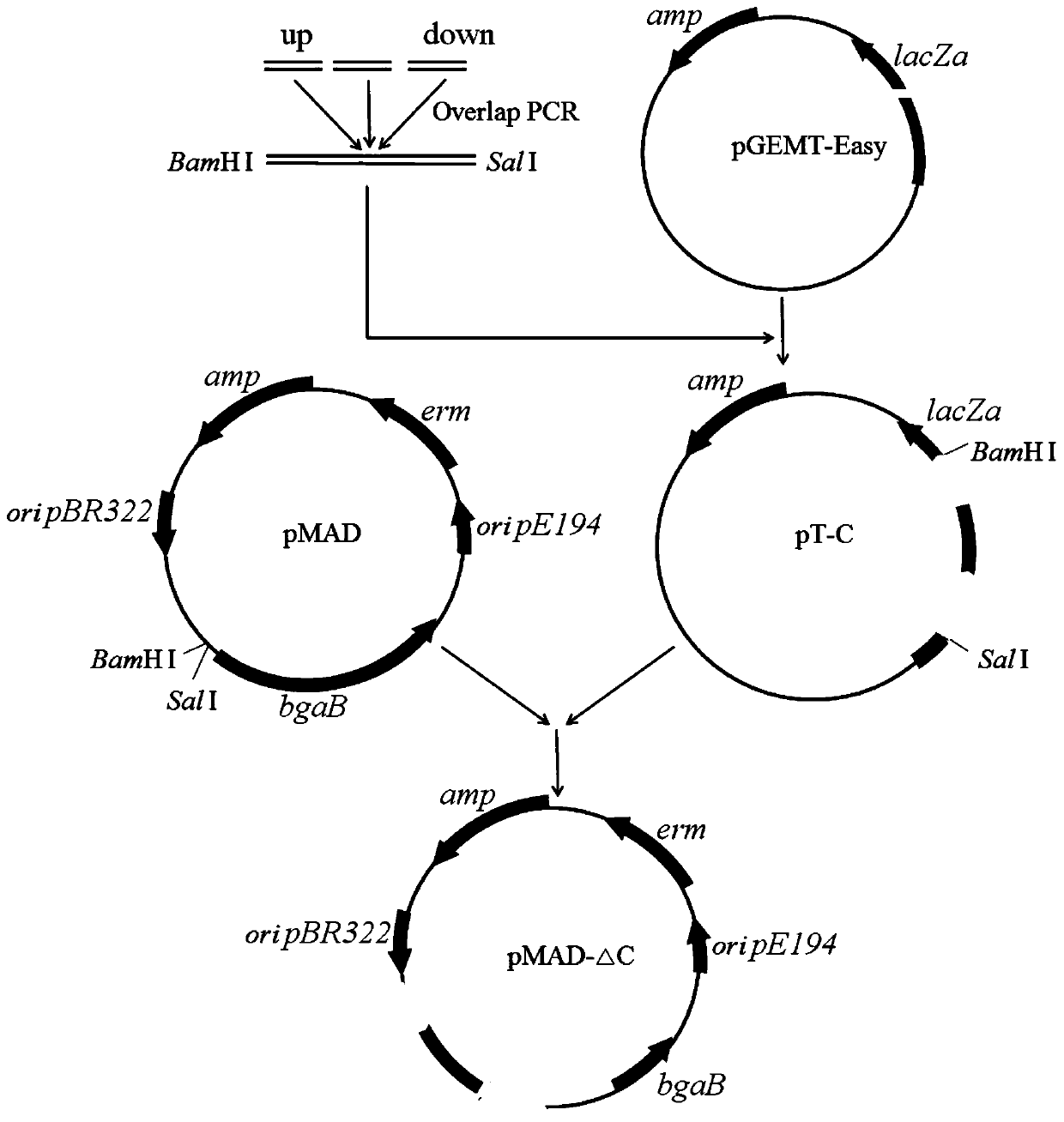 Method for regulating and controlling components of polymyxin B homolog