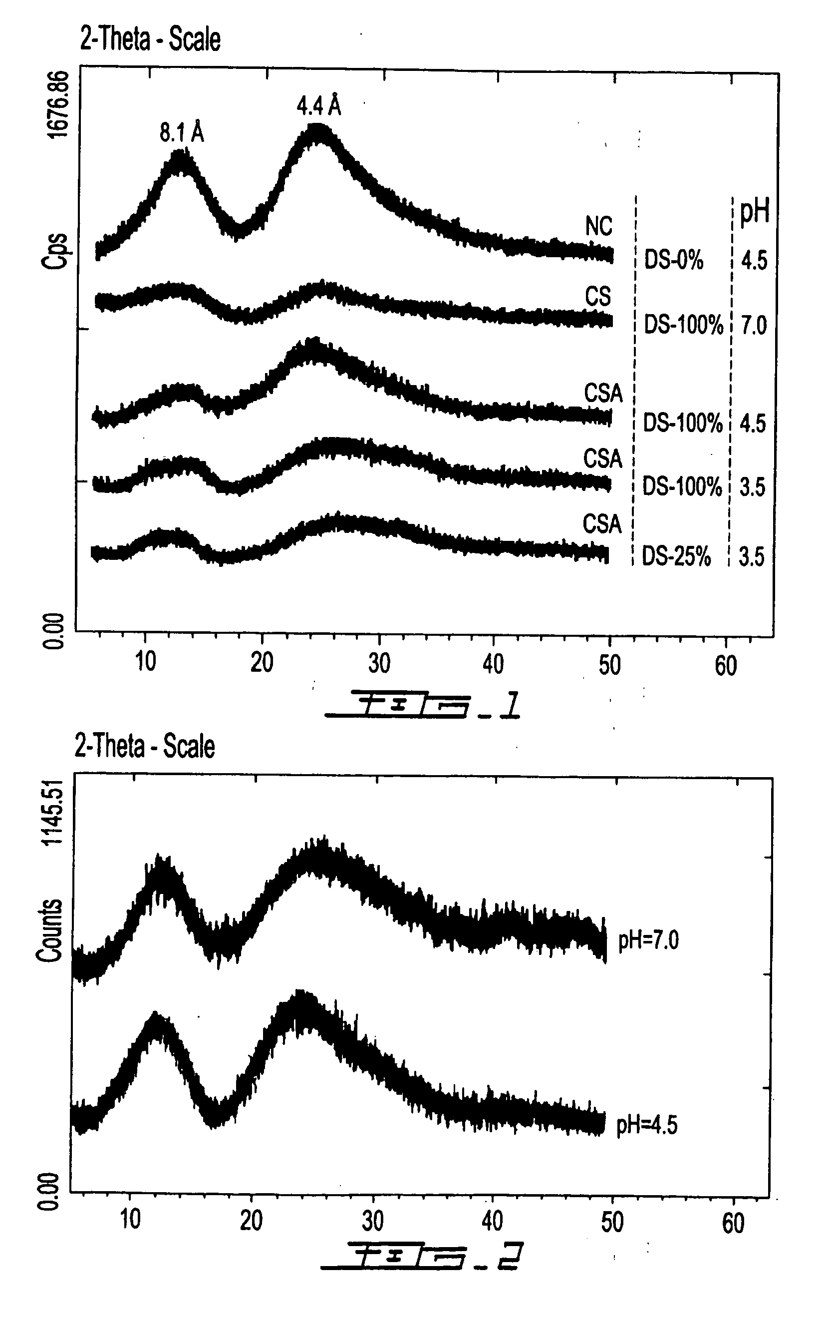 Biocompatible polymeric matrix and preparation thereof