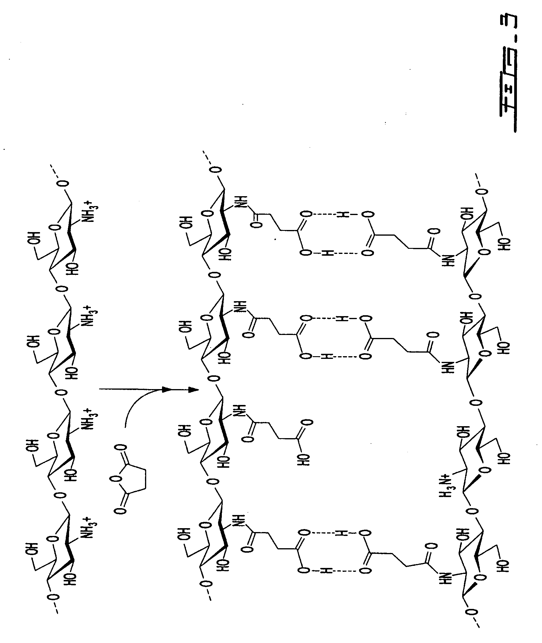 Biocompatible polymeric matrix and preparation thereof