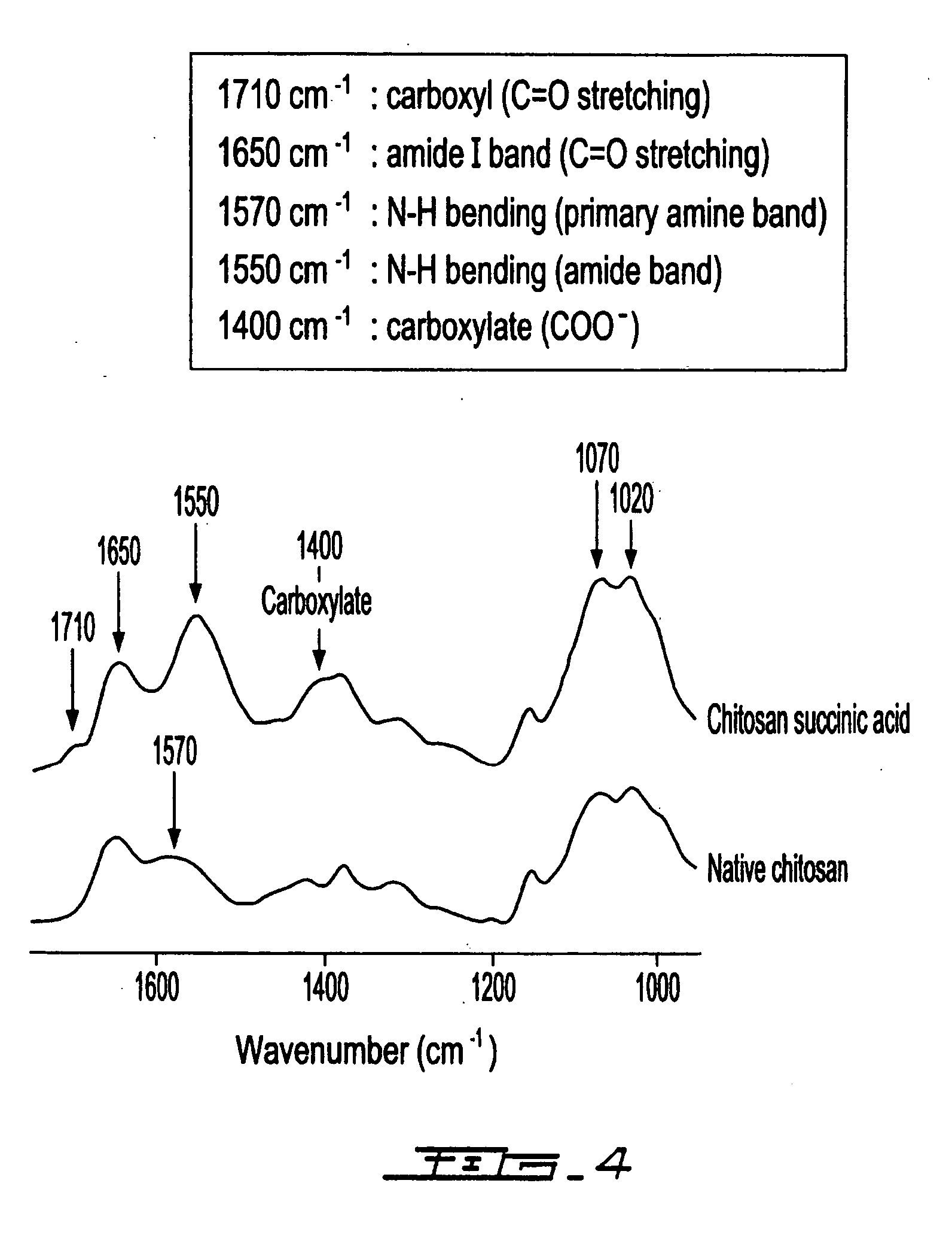 Biocompatible polymeric matrix and preparation thereof