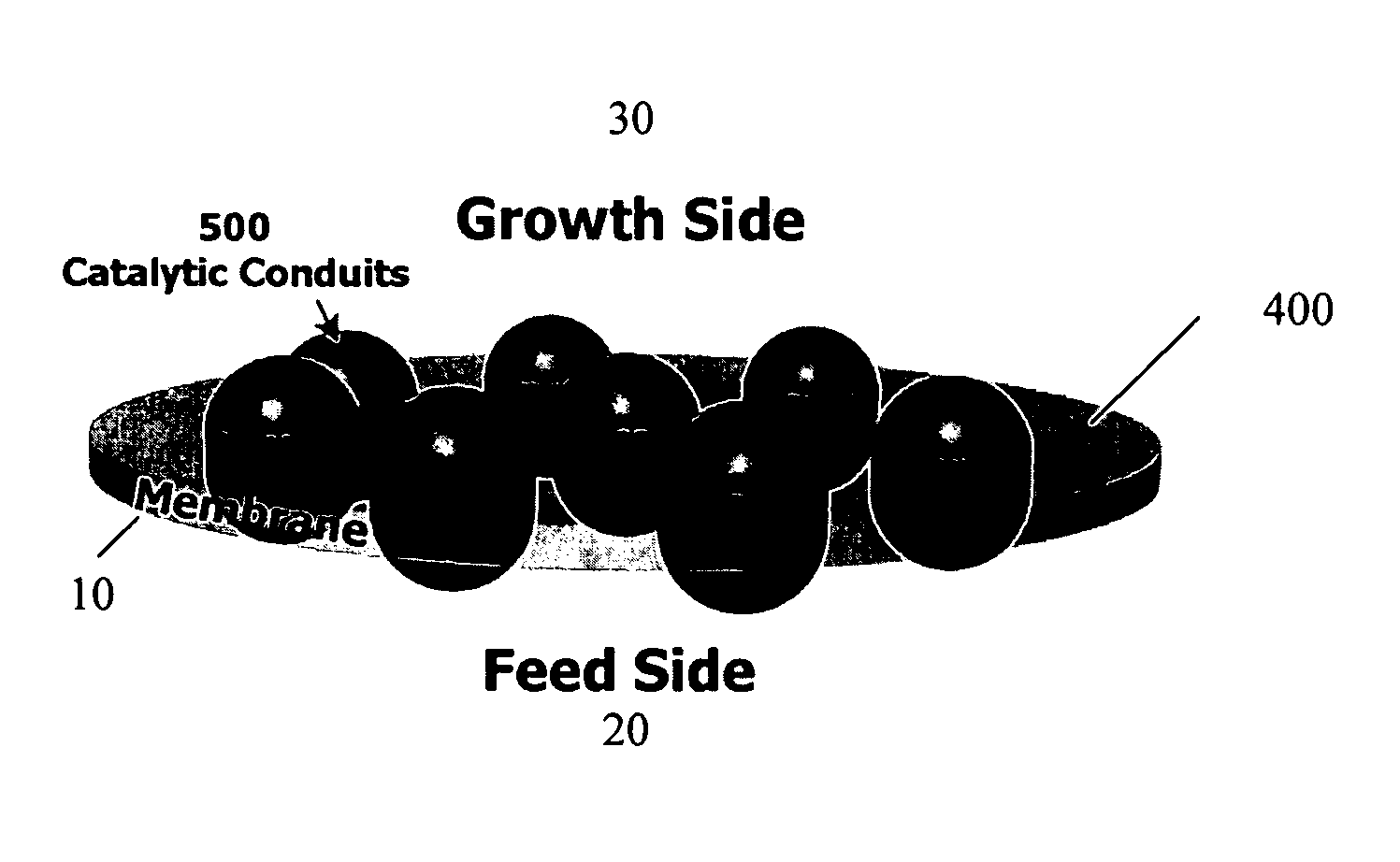 Membrane separation of feed and growth environments in carbon nanostructure growth