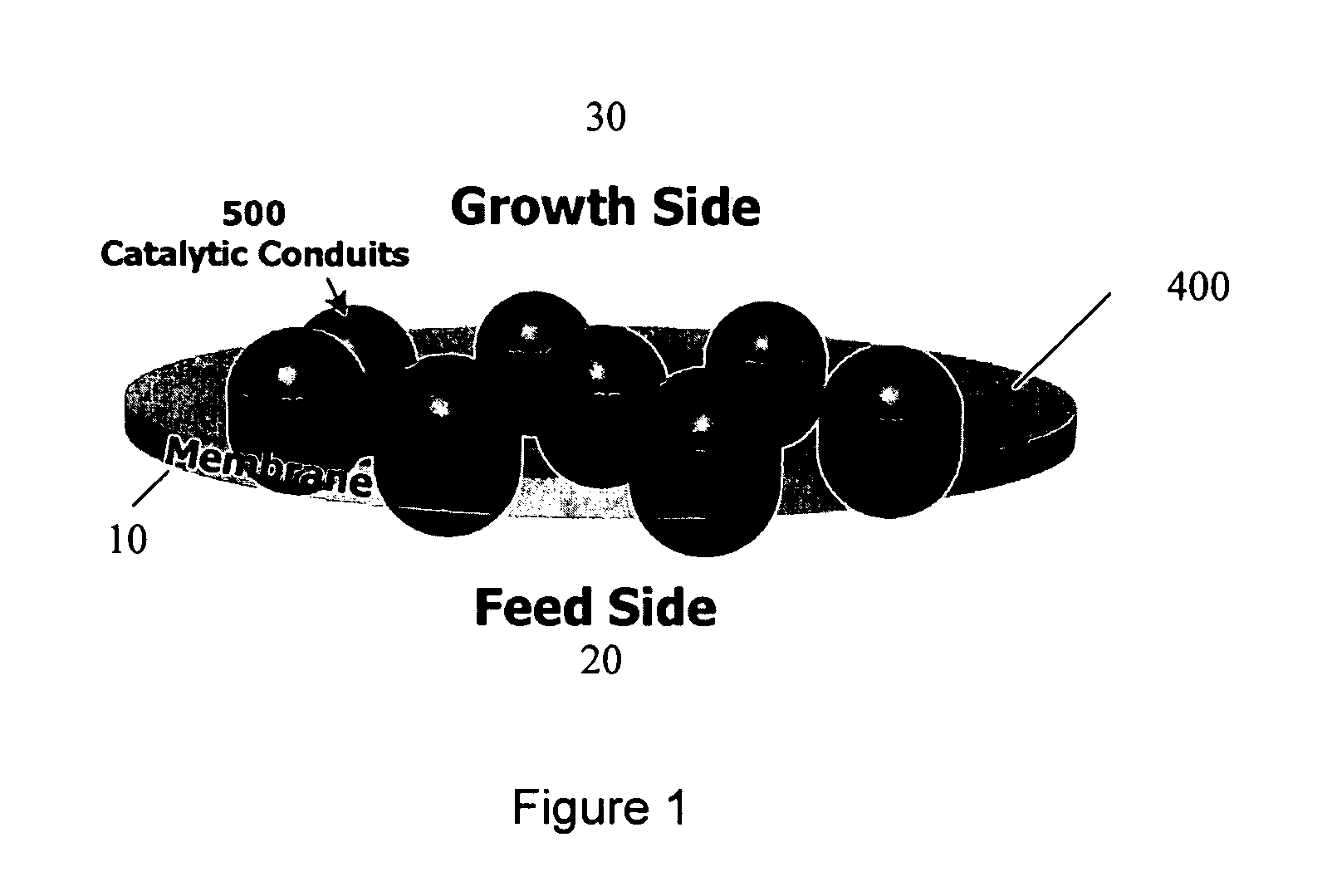 Membrane separation of feed and growth environments in carbon nanostructure growth