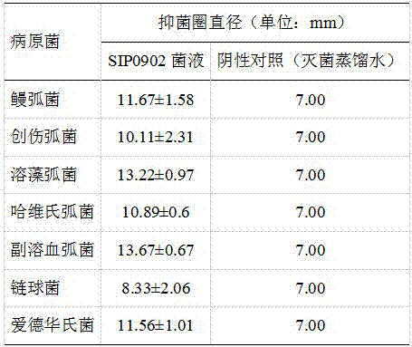 Bacillus amyloliquefaciens and application thereof in aquaculture